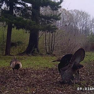 Meet your Posher, Chase